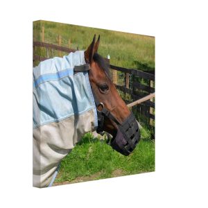 Elegant Horse Portrait Canvas Print – Majestic Equine Wall Art for Home Décor 12" x 12"