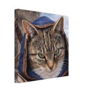 Cat in hood Canvas Print – Wall Art for Home Decor 12" X 12"
