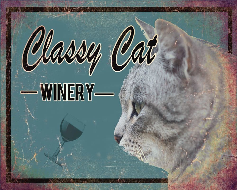Classy Cat Winery Brewery