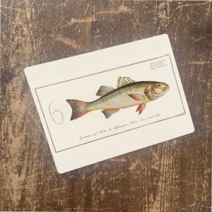 Bass fish metal wall sign, 11" x 16"