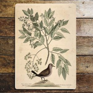 Bird Branch Botanical Insect- metal wall sign, 11" x 16"