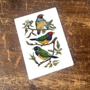 Bird Branch Botanical- metal wall sign, 11" x 16"