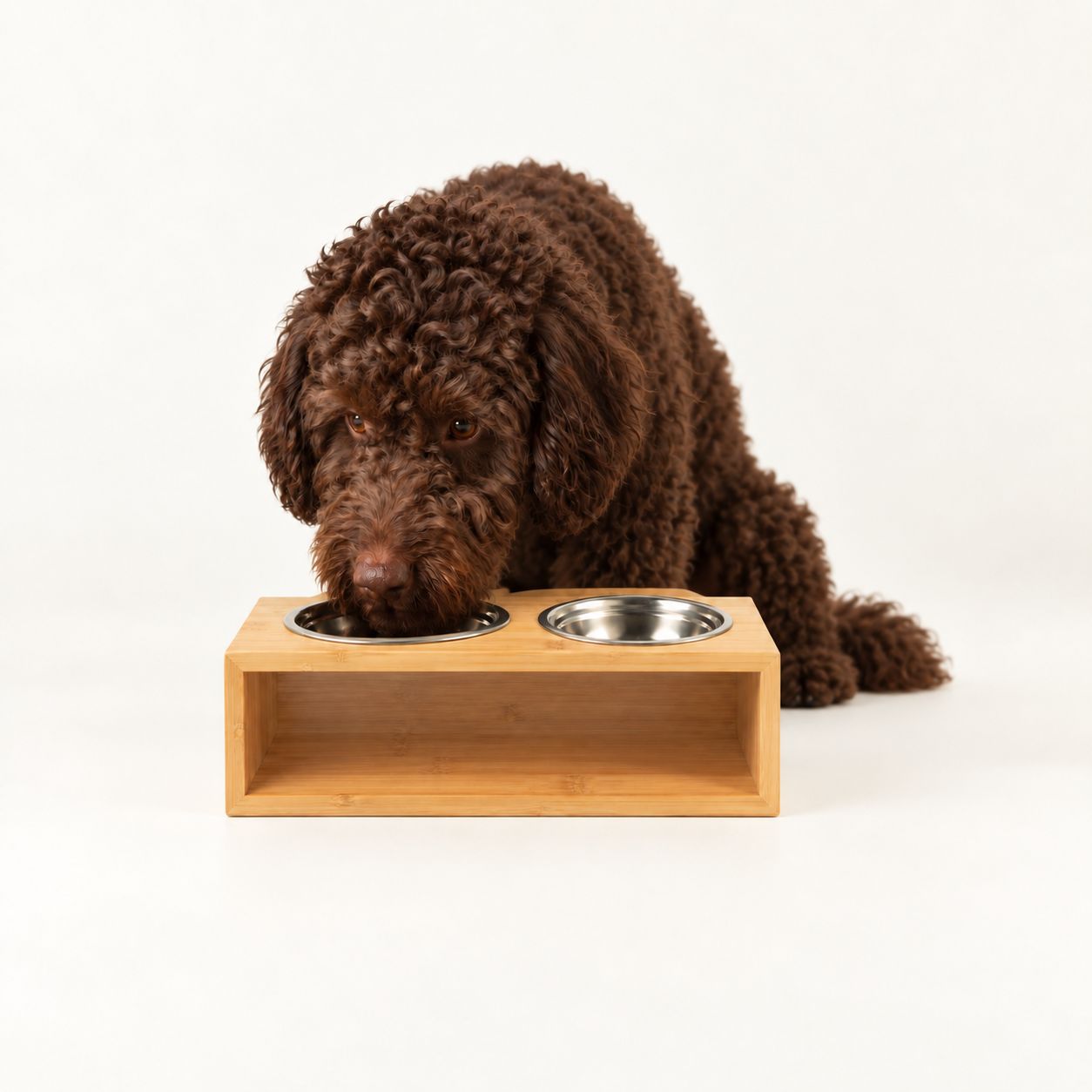 PAW Food Bowls - Large Double Stainless Steel in Wooden Stand - Image 3